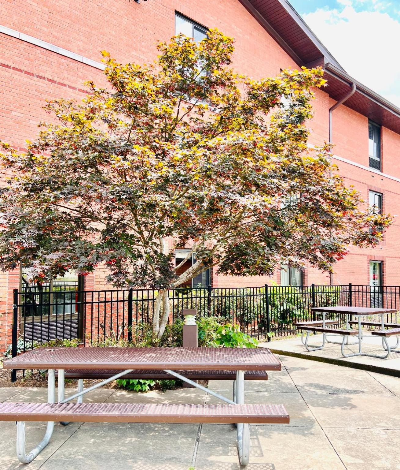 Mainstay Suites Little Rock West Near Medical Centers Esterno foto
